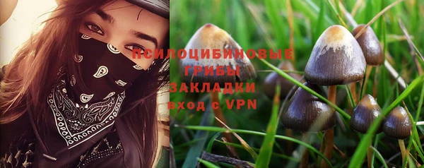 дживик Алексеевка