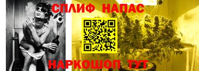 крисы Гай