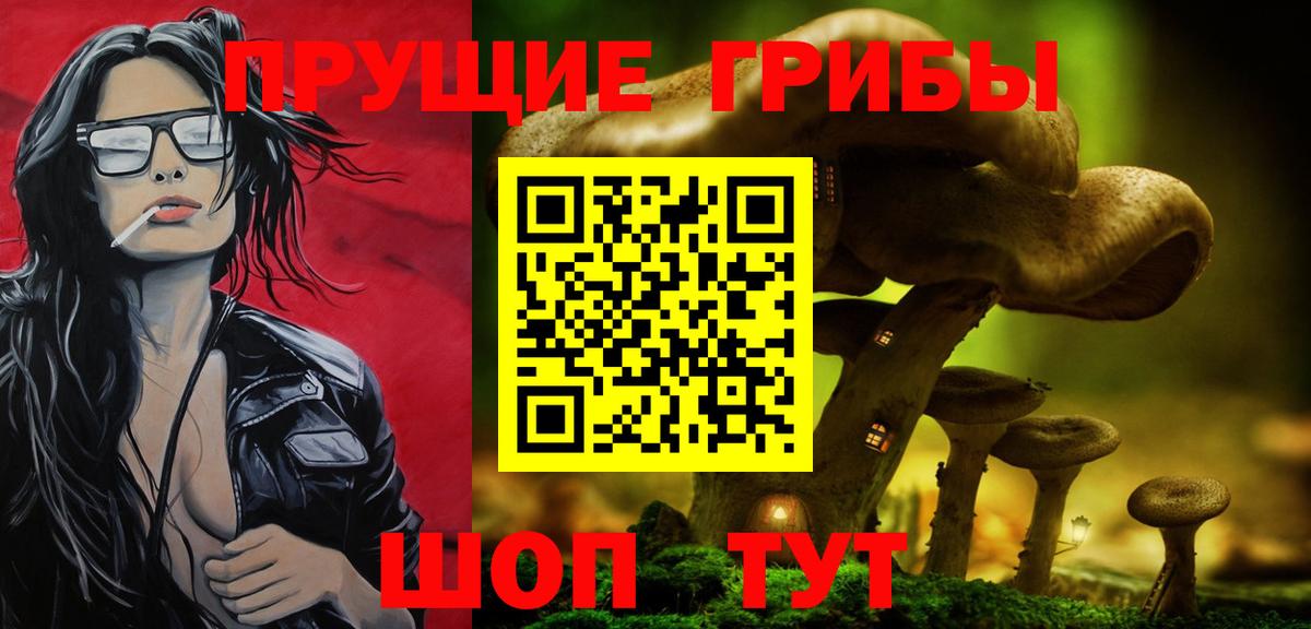 Дубна  Псилоцибиновые грибы ЛСД  где продают наркотики  Вход с VPN 